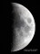 Mond